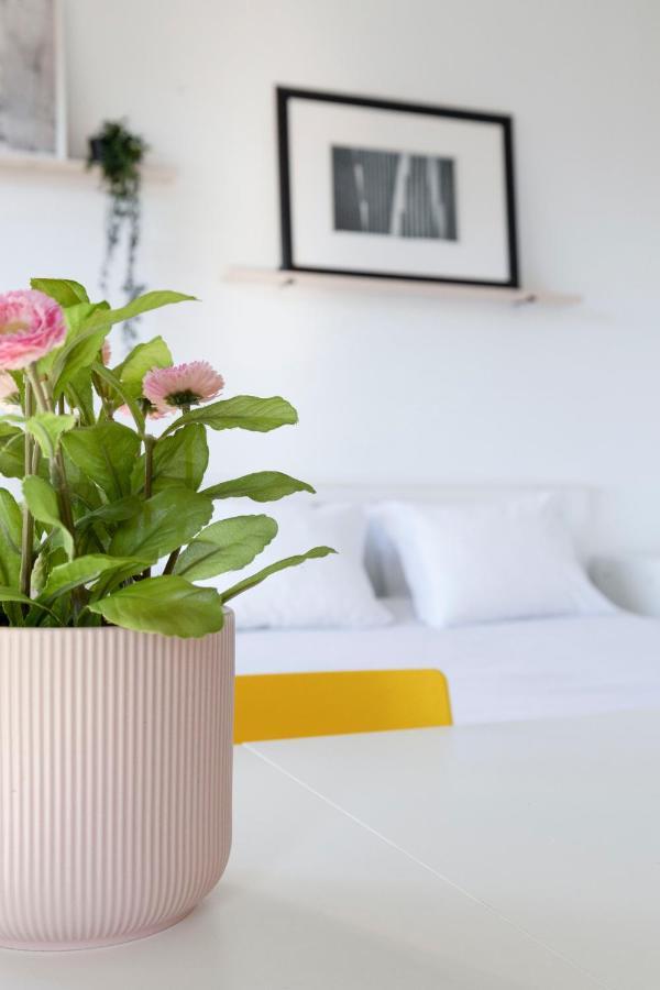 Travel & Live Alegria Apartments Porto Eksteriør bilde